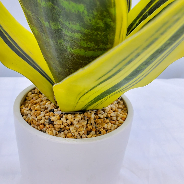 Simulation Table Decoration Plastic Sansevieria Hahnii Snake Plant for Sale