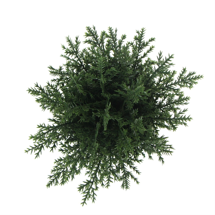 High Quality Low Cost Small Bonsai for Table Decoration Natural Mini Plant for Outdoor Indoor Hotel Artificial Bonsai