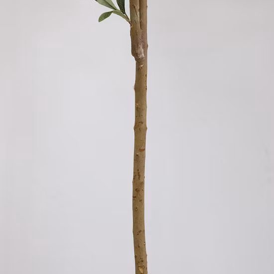 Décoration d'intérieur Erevgreen Branche en bois Plante en plastique Faux Olivier Artificiel