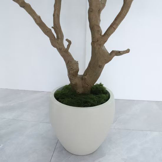 Plantes en pot d'intérieur Olive artificielle Bonsaï pour bureau à domicile