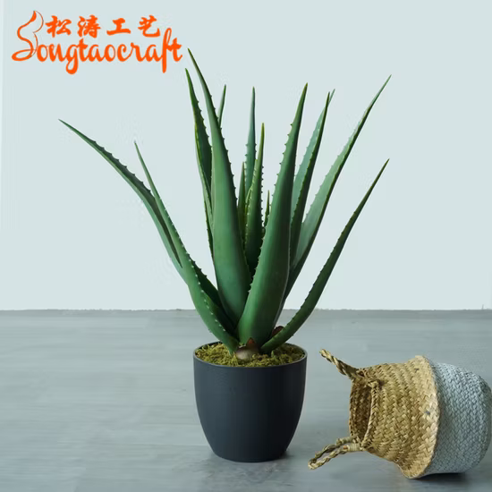 Plantes artificielles d'aloe vera d'arbre de bonsaï de plantes succulentes en pot décoratives de petite maison