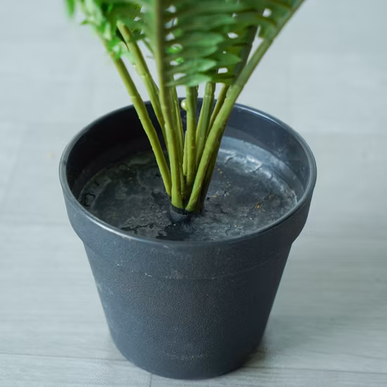 Vente en gros d'intérieur chaud décoratif en pot d'herbe persane artificielle Mini Bonsai Tree pour la décoration intérieure