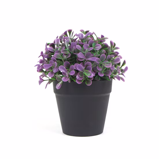 Plante artificielle écologique haute Simulation PE en pot 18 Cm Mini bonsaï pour la décoration de café à la maison de bureau
