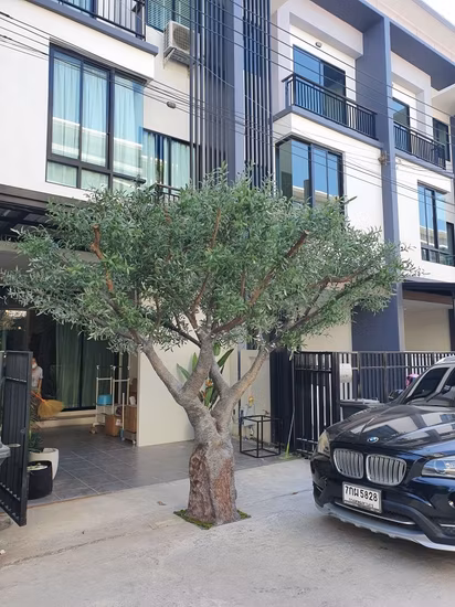Grand olivier artificiel extérieur personnalisé direct d'usine