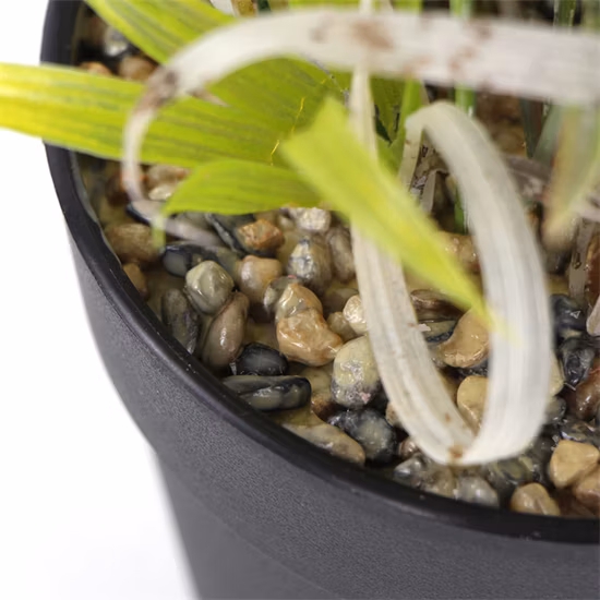 Petite plante artificielle en plastique de verdure de bonsaï en pot pour la décoration de jardin à la maison
