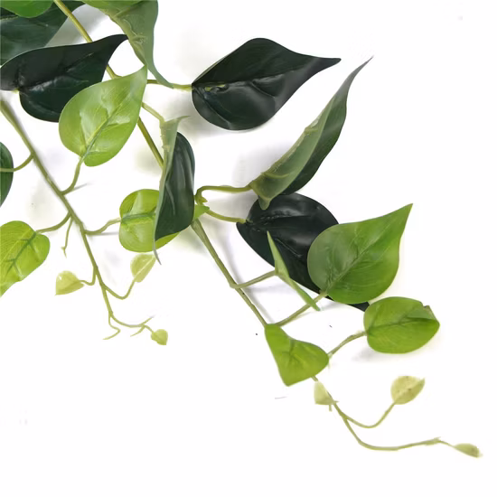 La simulation élevée laisse les usines artificielles accrochant la vigne de mur pour la décoration
