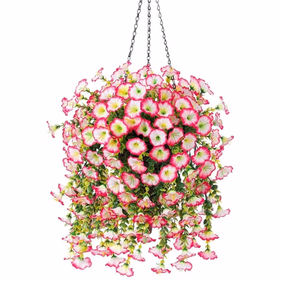 Plantes Intérieures Extérieures Plantes Suspendues Plantes Suspendues Artificielles Vignes