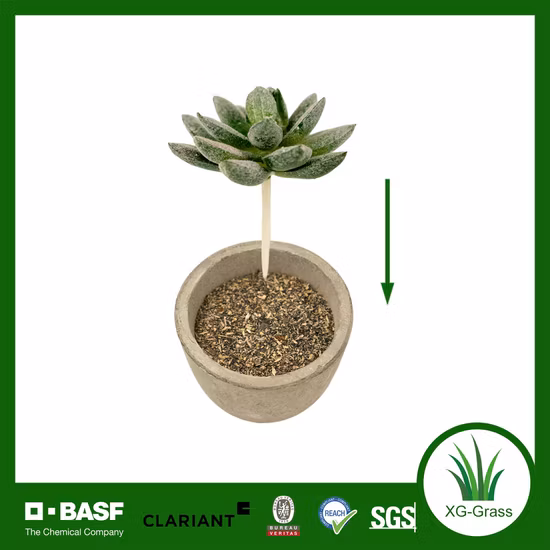 Pas cher en gros décoratif Mini Cactus assortiment extérieur intérieur suspendu Arrangement plantes artificielles succulentes à vendre